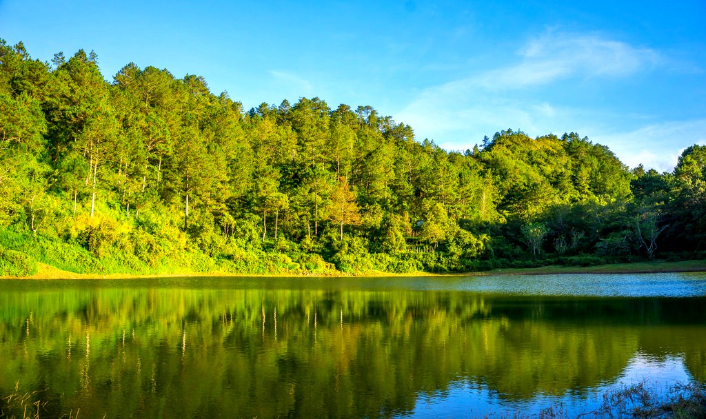 15902413676_0c763779af_b