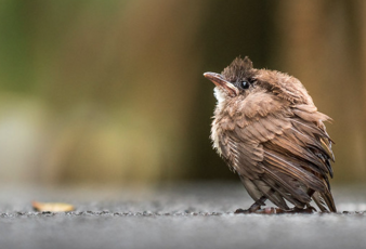 Screen Shot 2019-05-21 at 6.27.55 PM