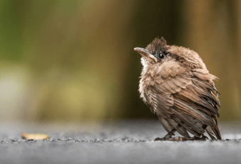 Screen Shot 2019-05-21 at 6.27.55 PM