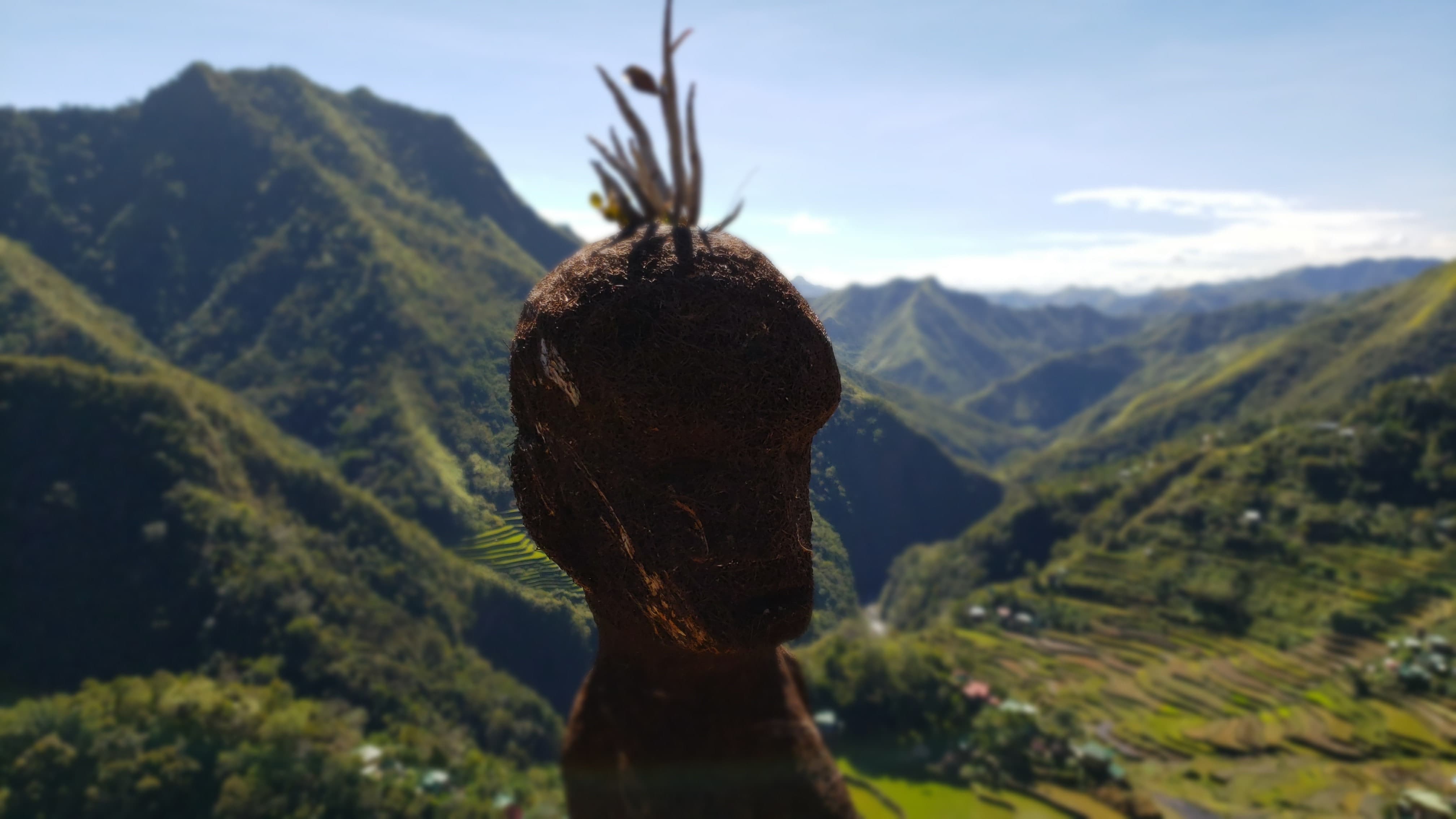 87622080_854320021706115_7079343196123168768_n