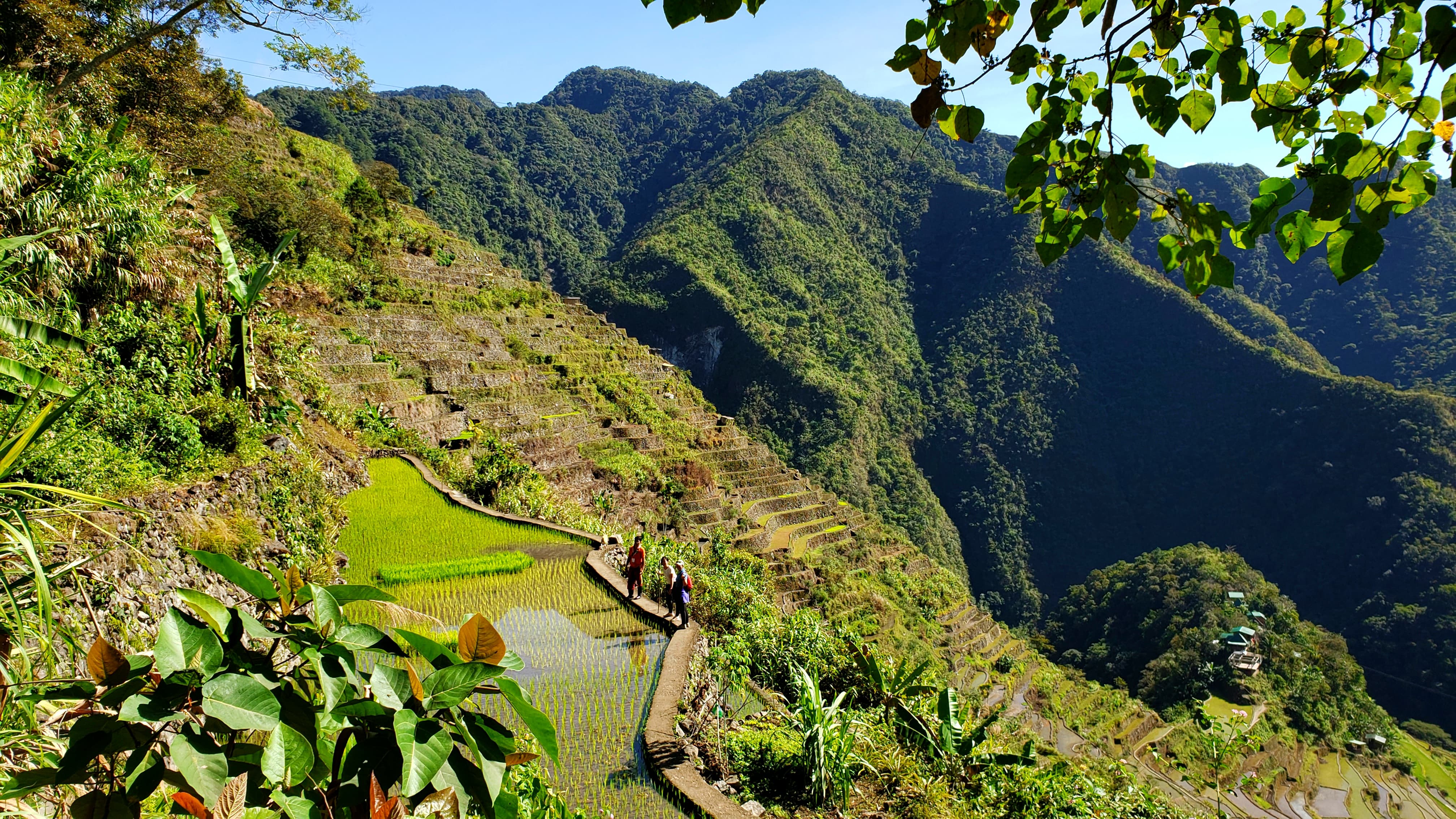 88084911_573797606681973_5038756971973443584_n