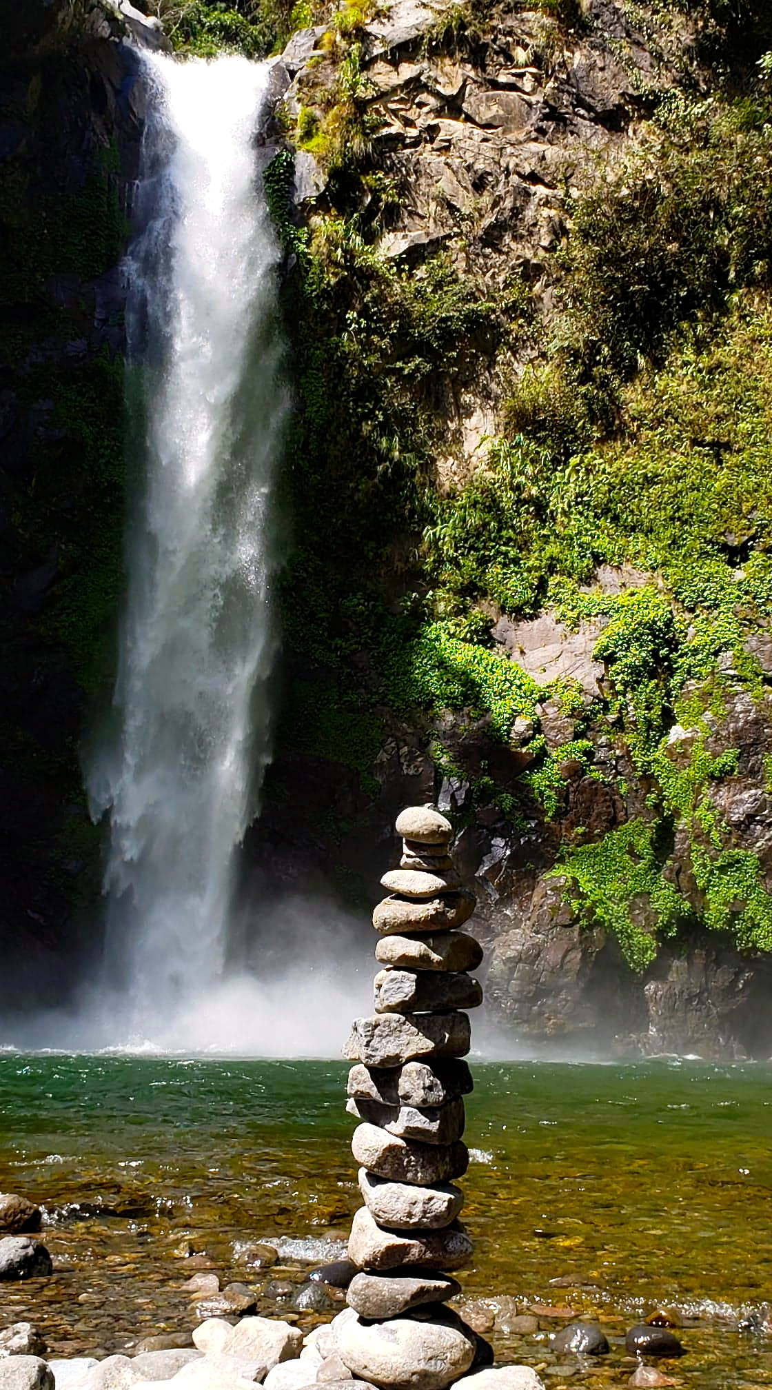 92128260_524191381832795_1377643994648936448_n